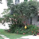 Pensionat Yiannis Megali Ammos (Skiathos)