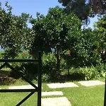 Yiannis 3* Megali Ammos (Skiathos)