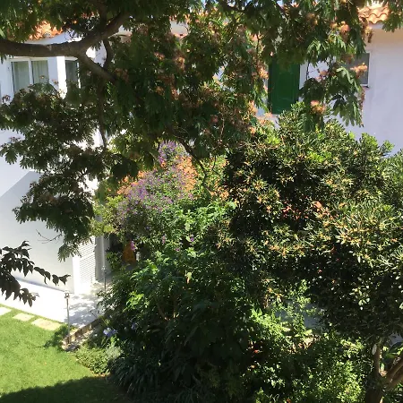 Yiannis (adults Only)