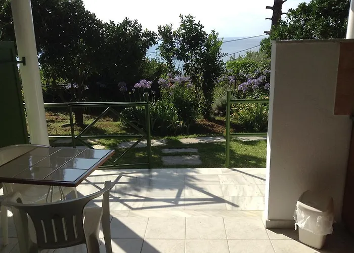 Yiannis (adults Only)