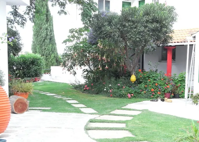 Yiannis (adults Only)