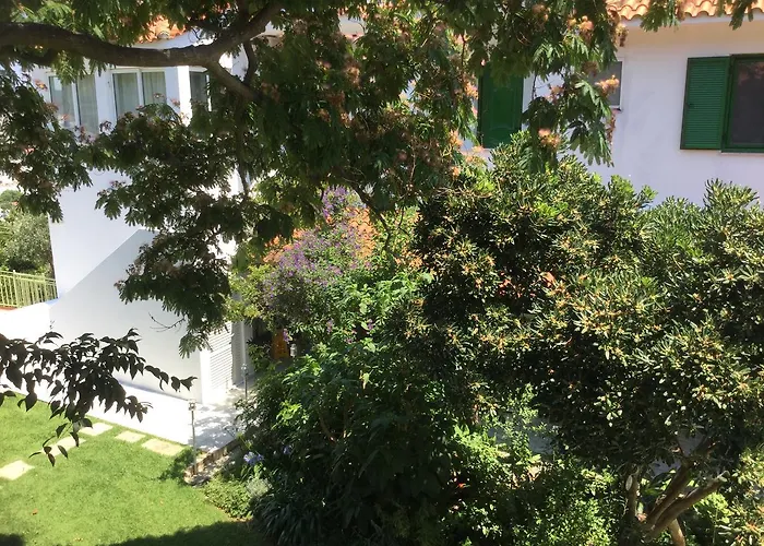 Yiannis (adults Only)