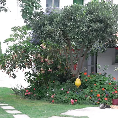 Affittacamere Yiannis (adults Only) Megali Ammos (Skiathos)