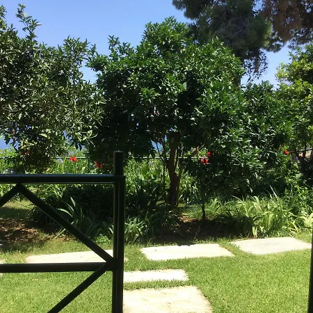 Yiannis (adults Only) * شاطئ ميغالي أموس